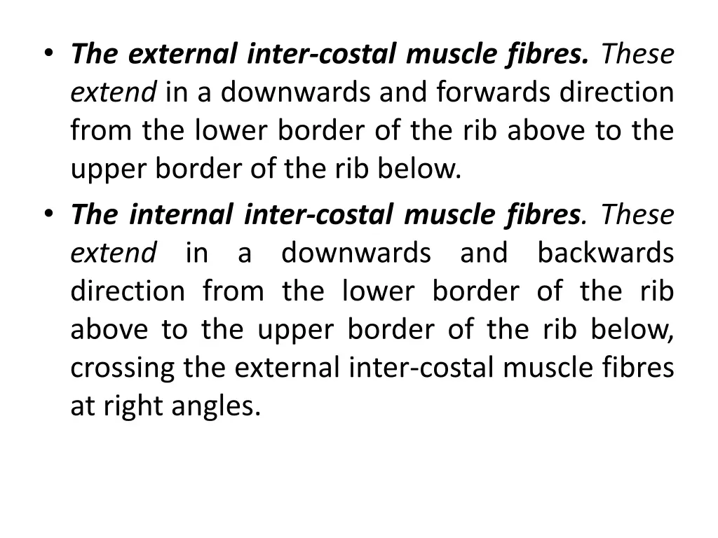the external inter costal muscle fibres these