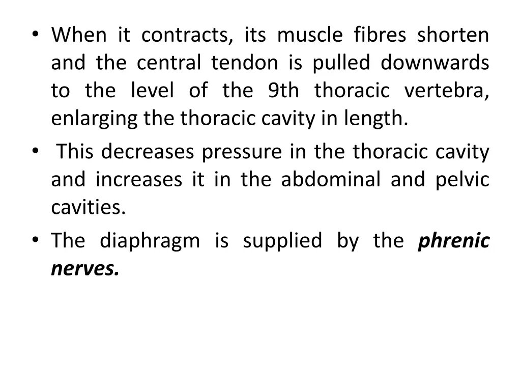 when it contracts its muscle fibres shorten