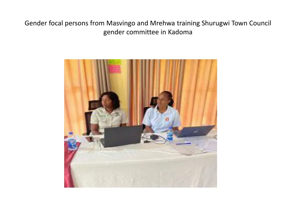 gender focal persons from masvingo and mrehwa