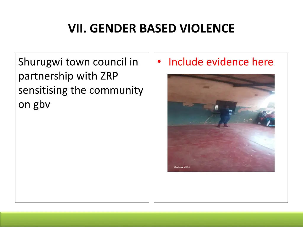 vii gender based violence