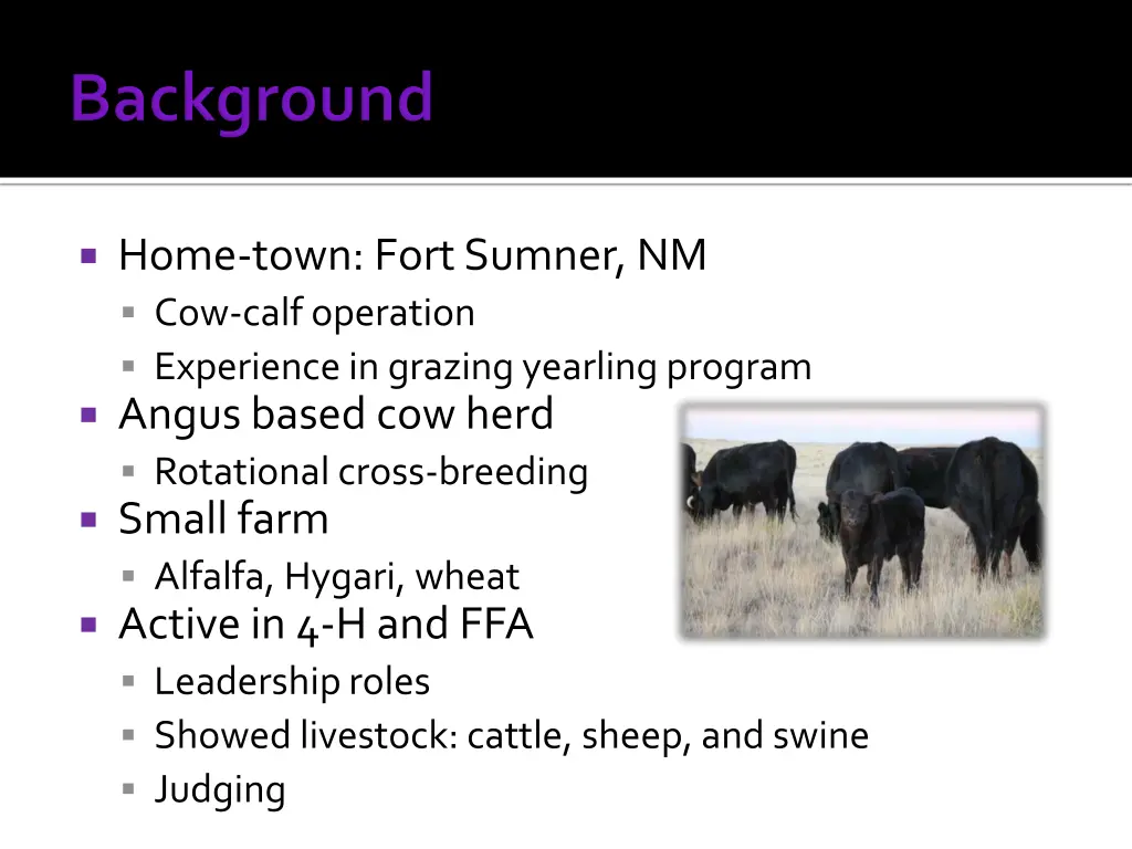 home town fort sumner nm cow calf operation