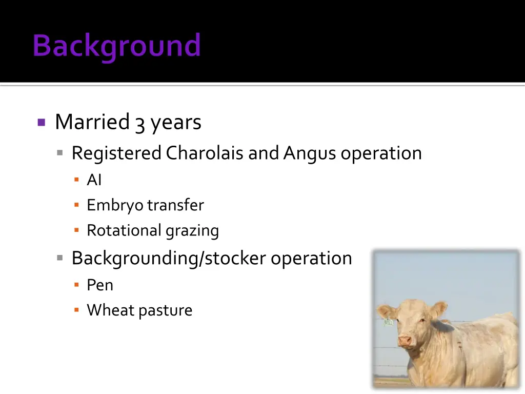 married 3 years registered charolais and angus