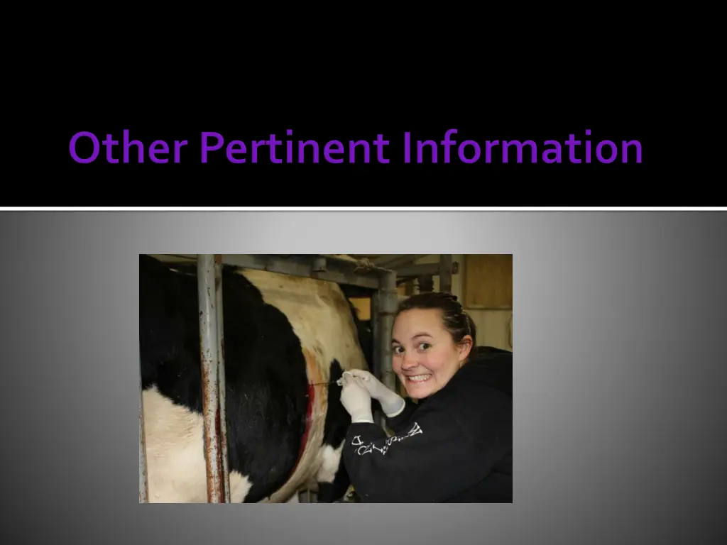 slide11