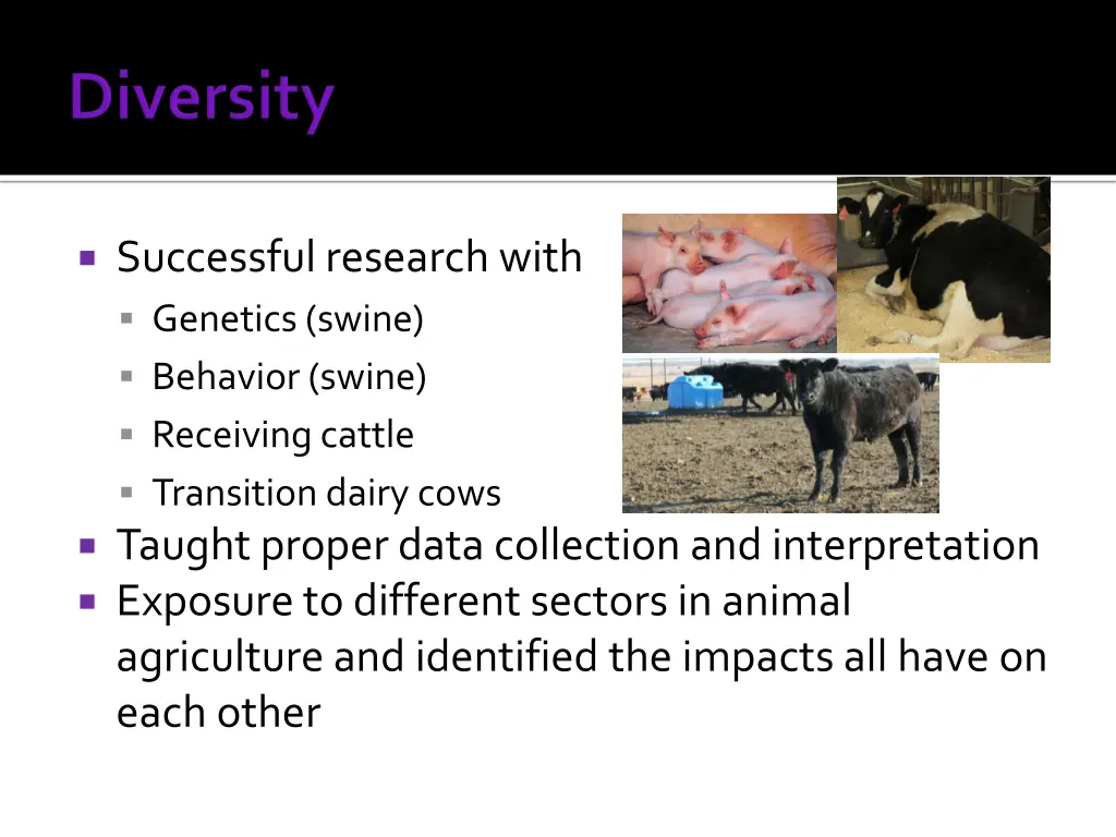 successful research with genetics swine behavior