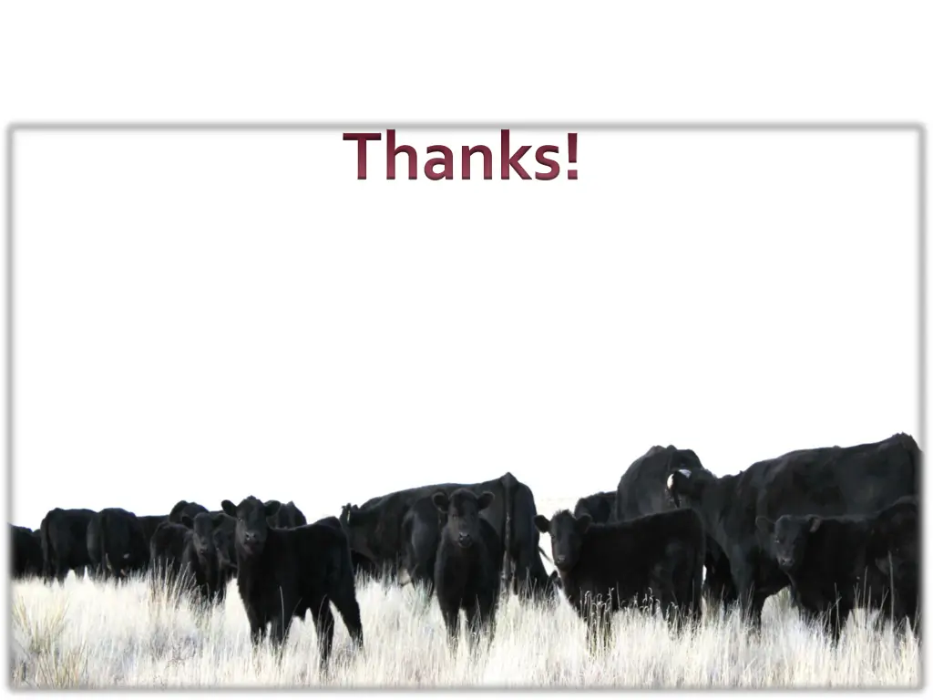thanks