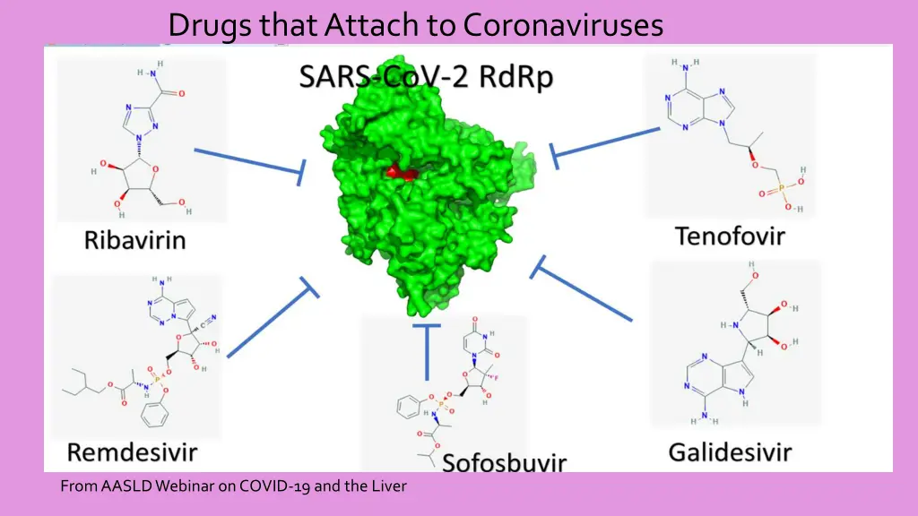 drugs that attach to coronaviruses