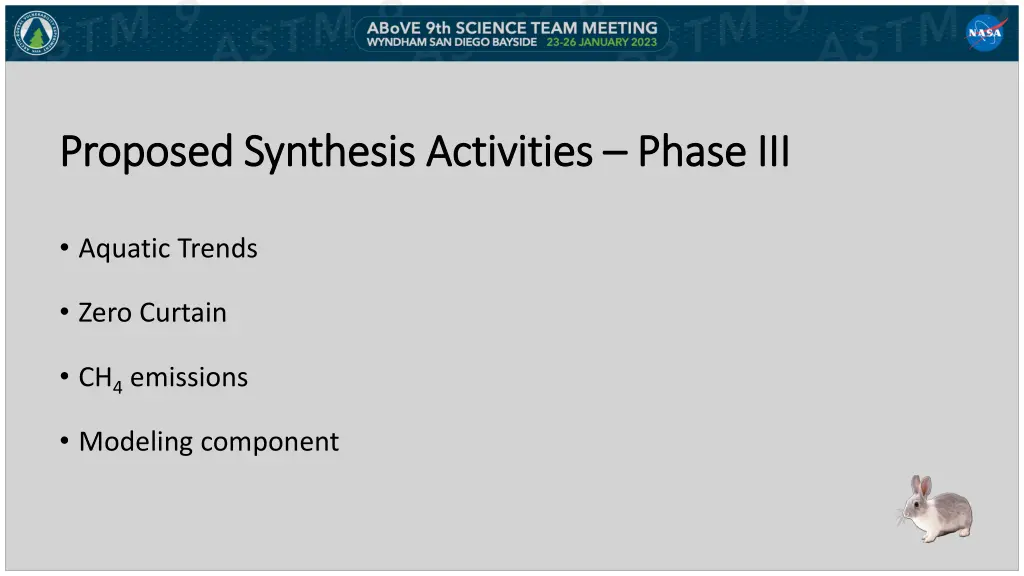 proposed synthesis activities proposed synthesis