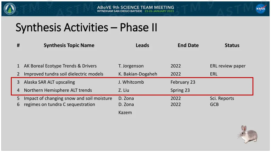 synthesis activities synthesis activities phase ii