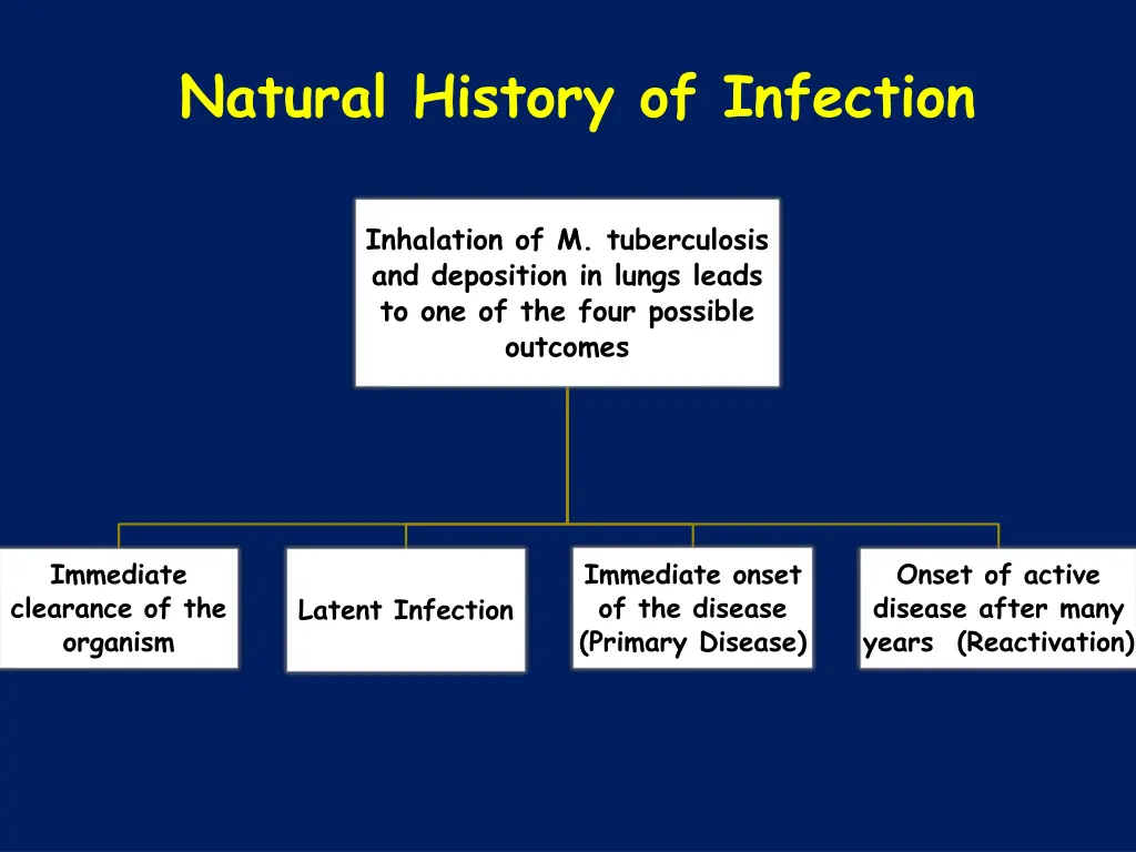 natural history of infection