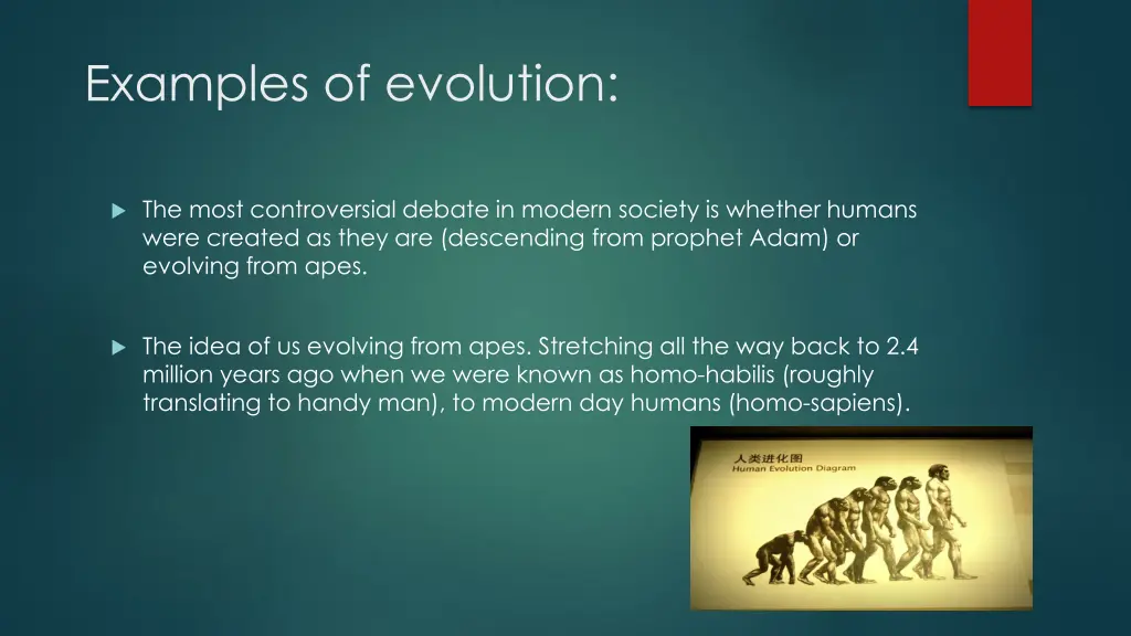 examples of evolution