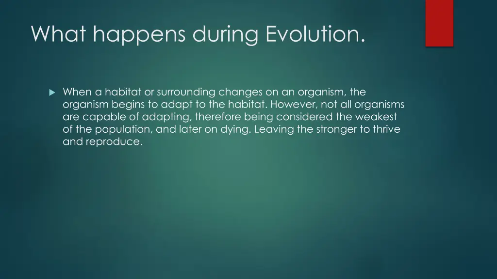 what happens during evolution