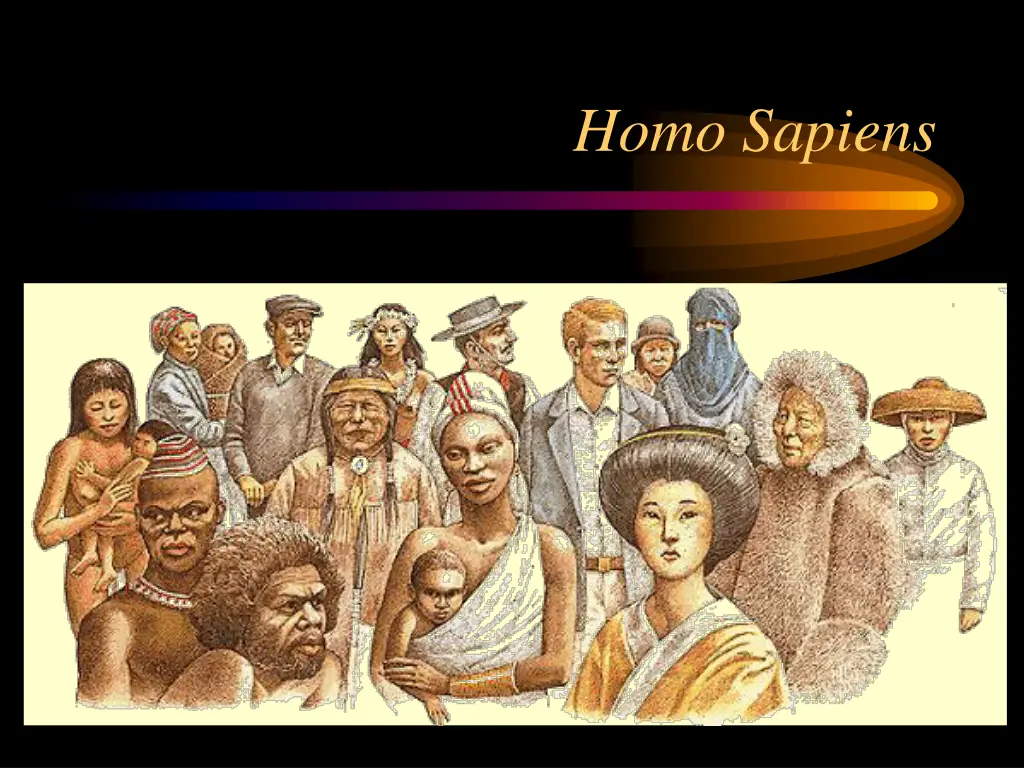homo sapiens