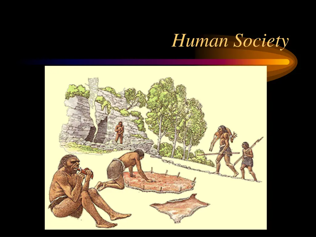 human society