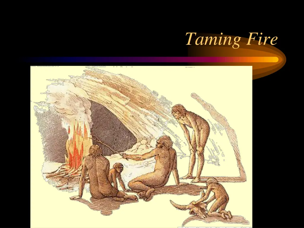 taming fire