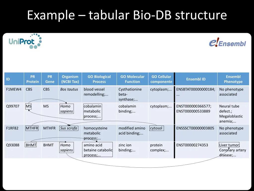 example tabular bio db structure