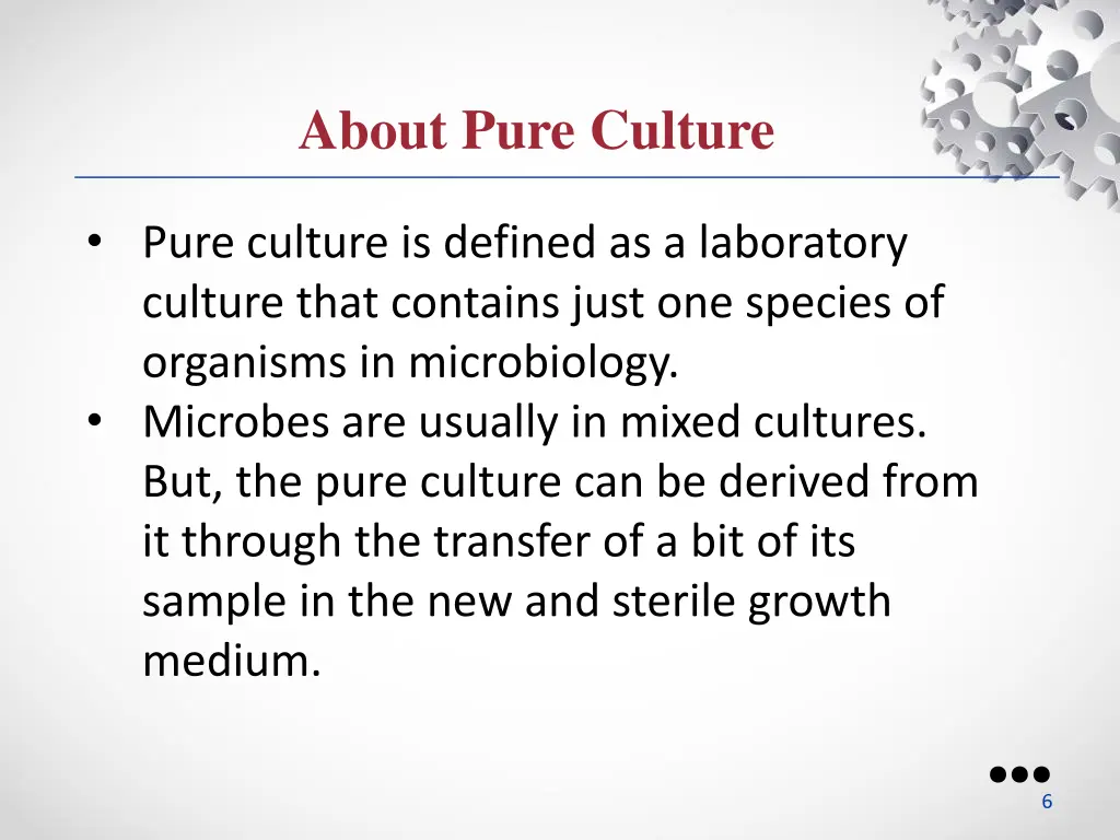 about pure culture