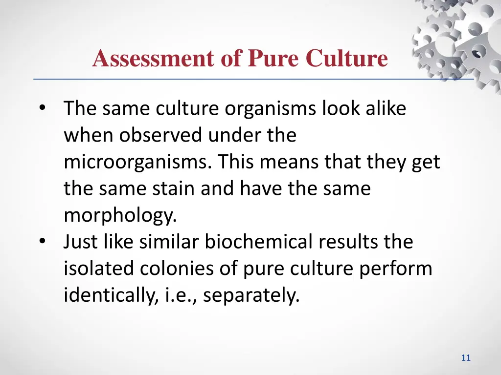 assessment of pure culture 1