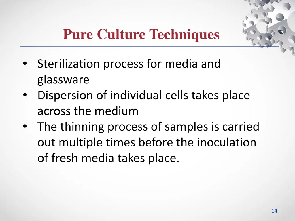 pure culture techniques