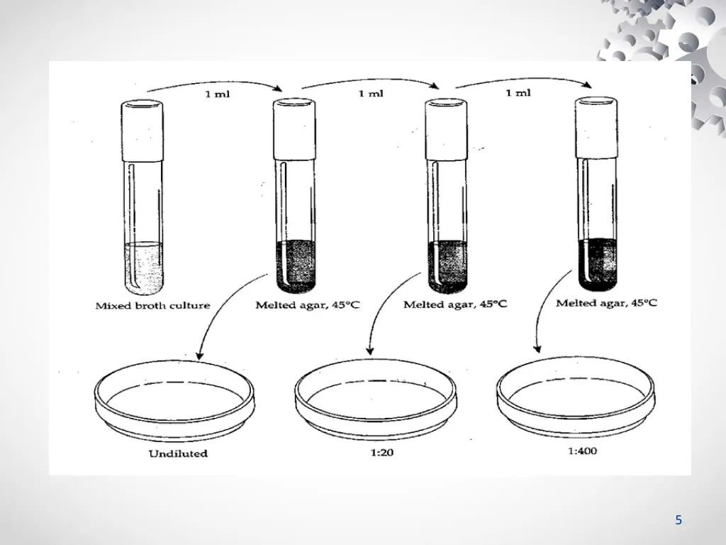 slide5