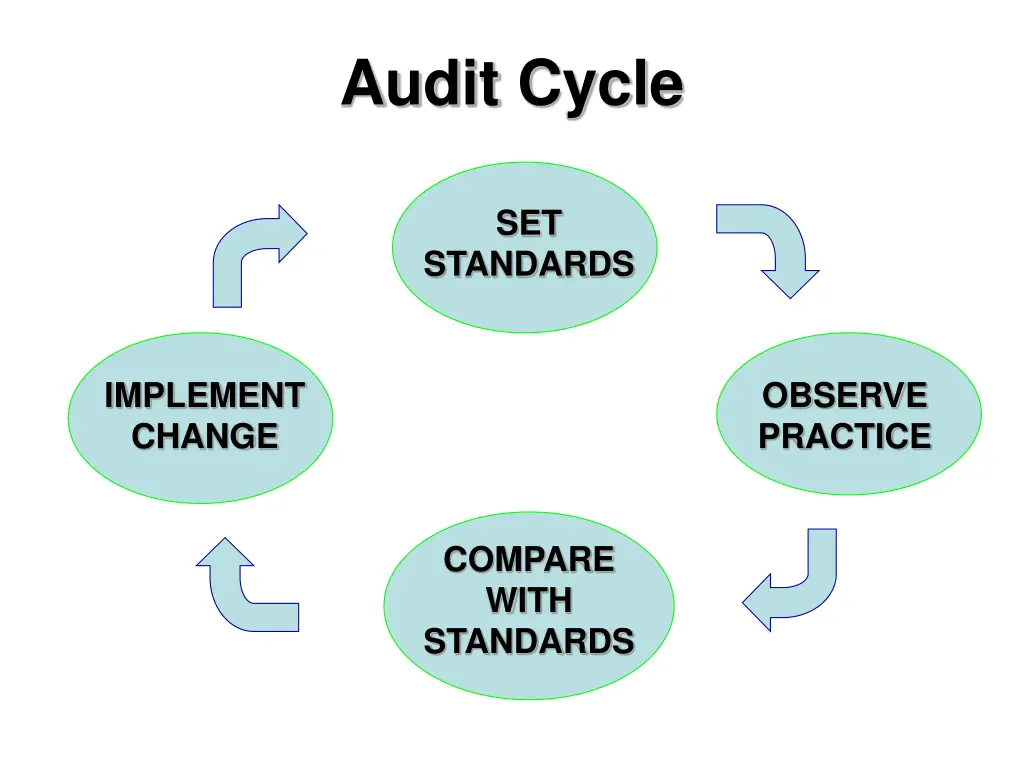 audit cycle