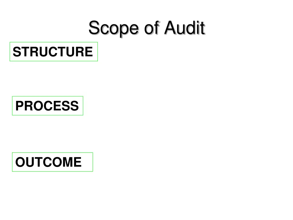 scope of audit 1