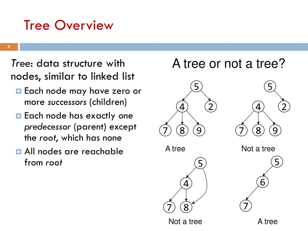 tree overview