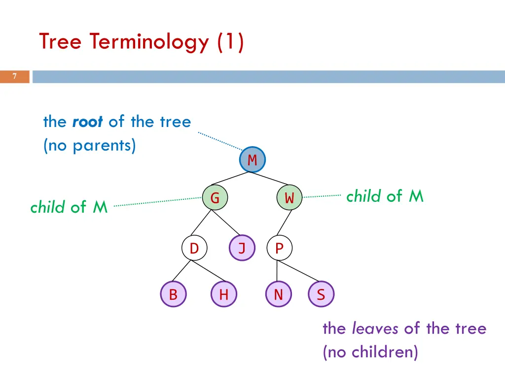 tree terminology 1