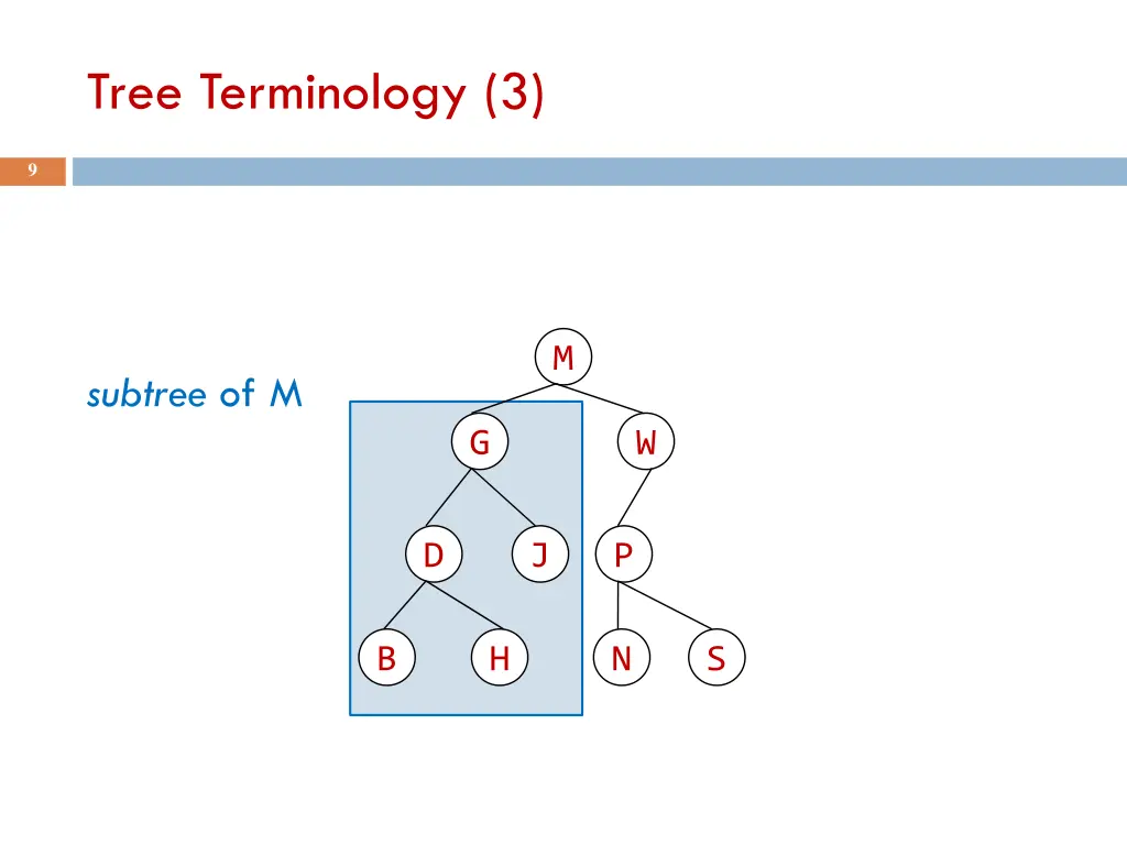 tree terminology 3