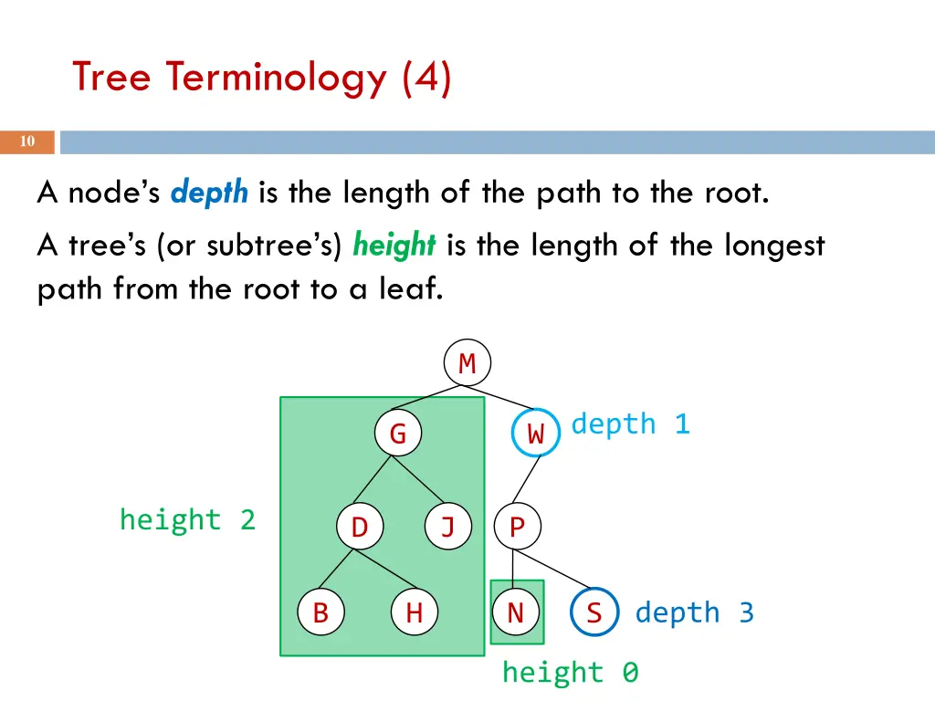 tree terminology 4