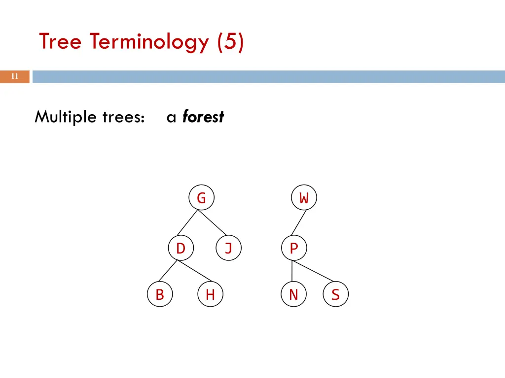 tree terminology 5