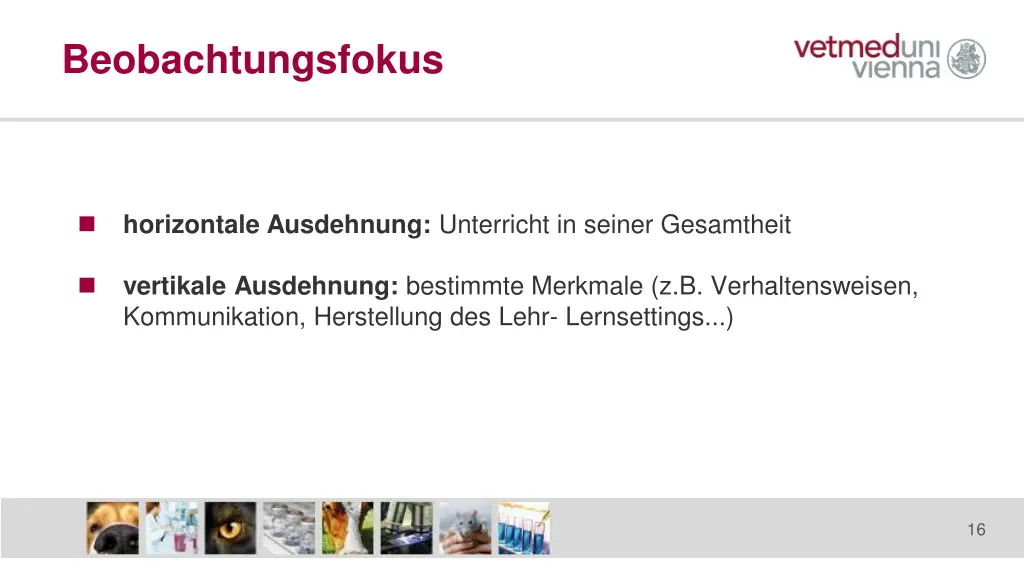 beobachtungsfokus