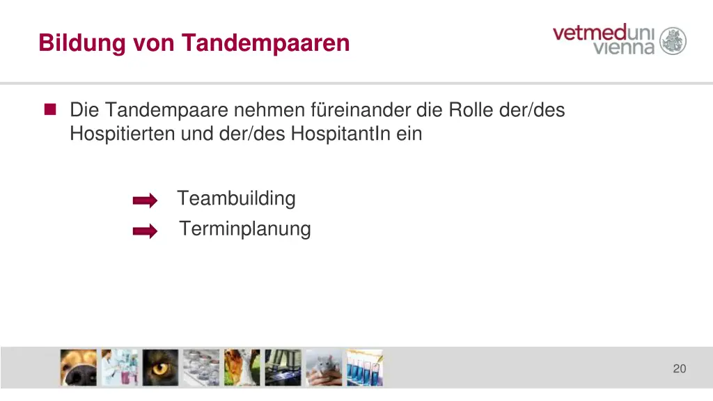 bildung von tandempaaren