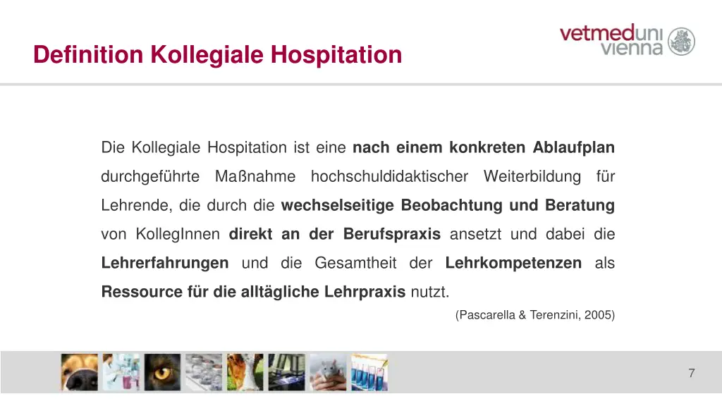 definition kollegiale hospitation