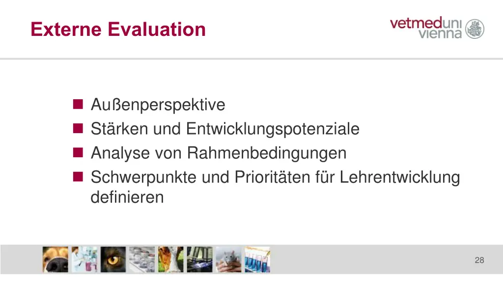 externe evaluation