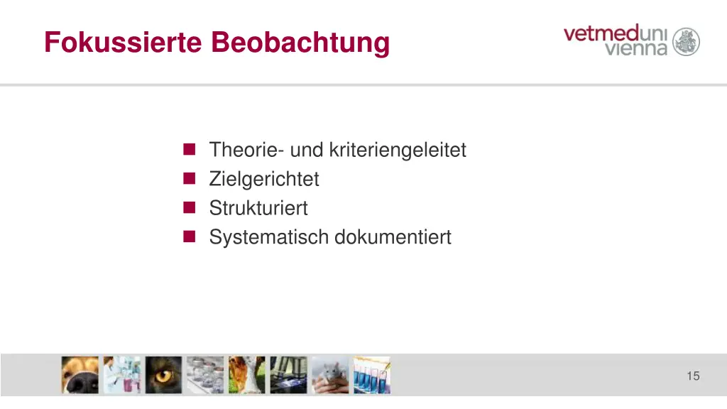 fokussierte beobachtung