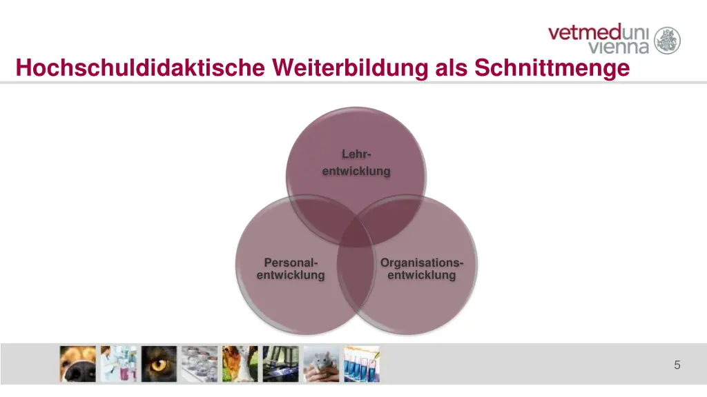 hochschuldidaktische weiterbildung