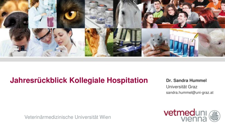 jahresr ckblick kollegiale hospitation