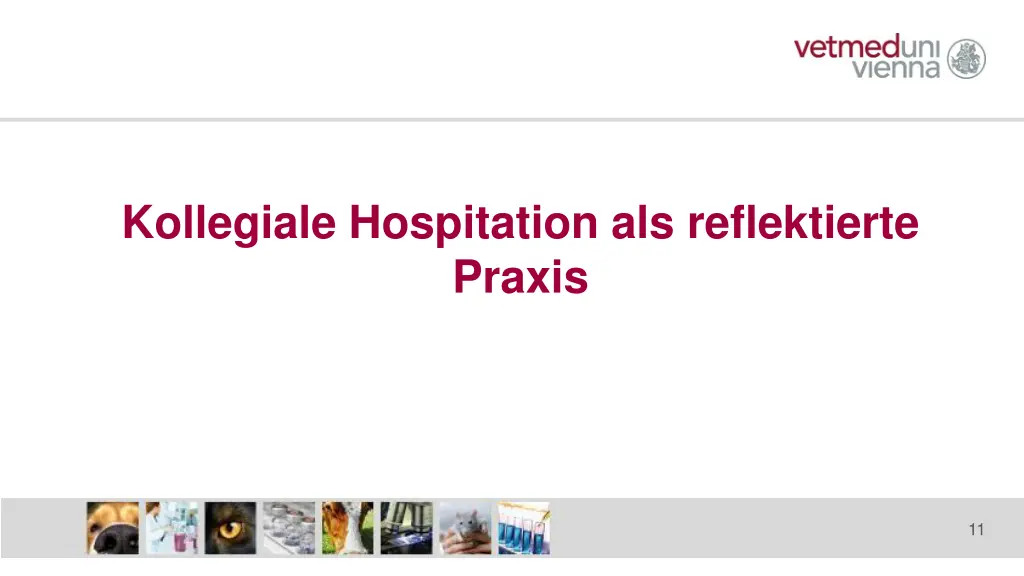 kollegiale hospitation als reflektierte praxis