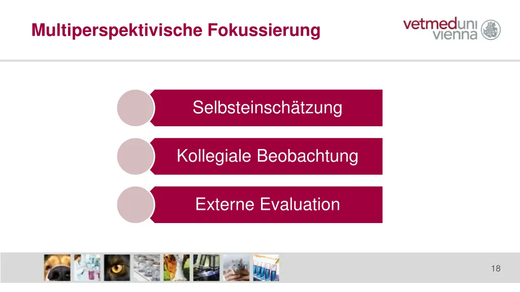 multiperspektivische fokussierung