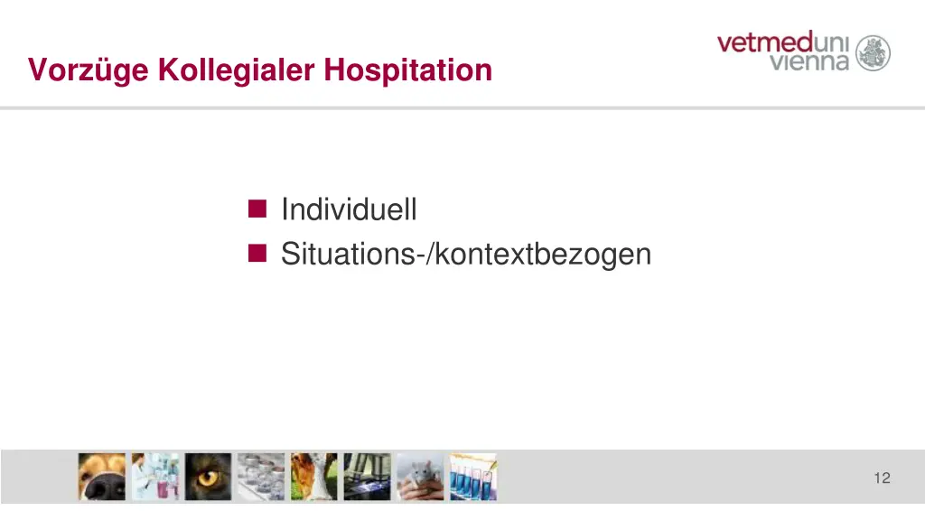 vorz ge kollegialer hospitation