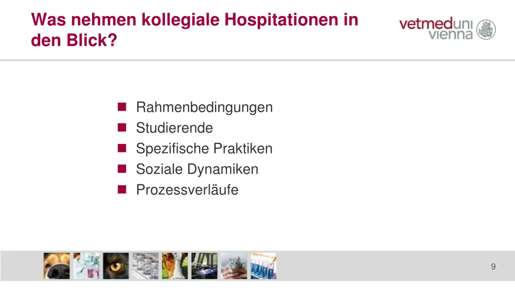 was nehmen kollegiale hospitationen in den blick