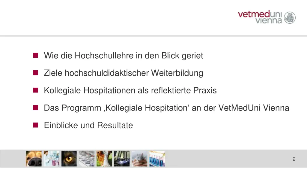 wie die hochschullehre in den blick geriet