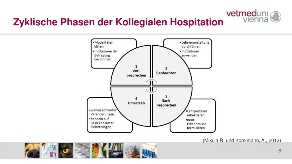 zyklische phasen der kollegialen hospitation