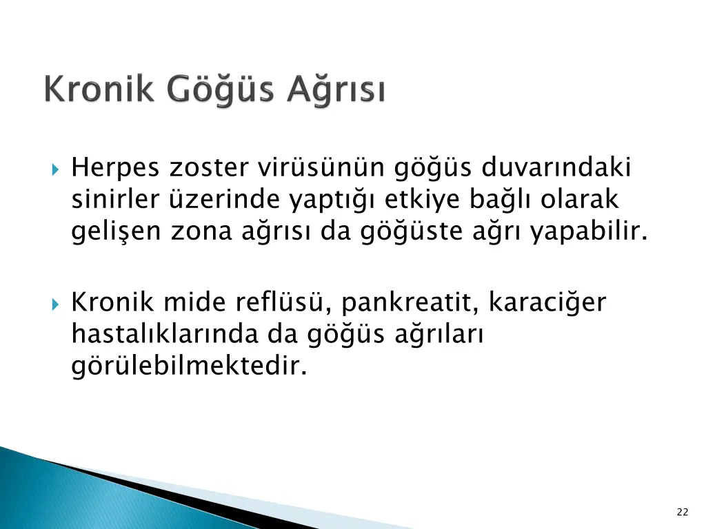 herpes zoster vir s n n g s duvar ndaki sinirler