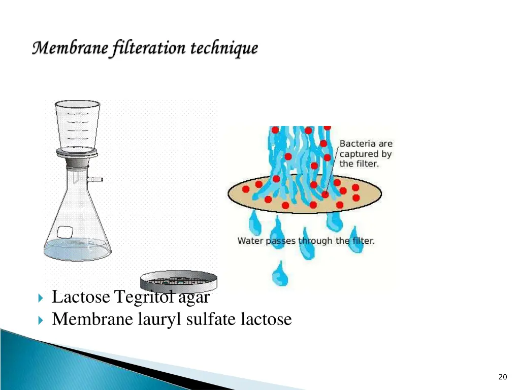 lactose tegritol agar membrane lauryl sulfate