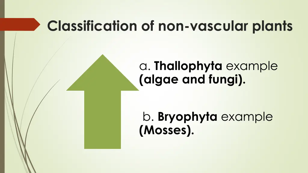 classification of non vascular plants