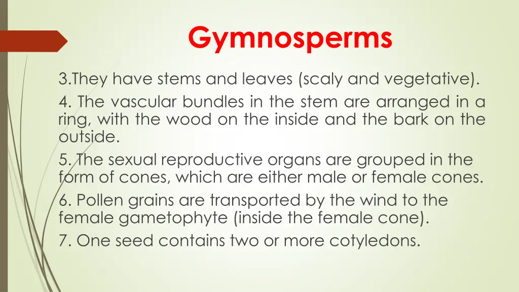 gymnosperms 1