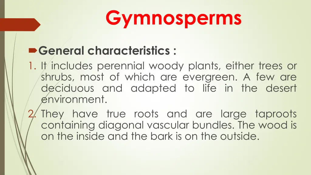 gymnosperms