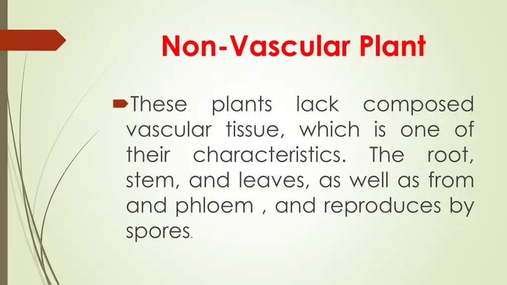 non vascular plant