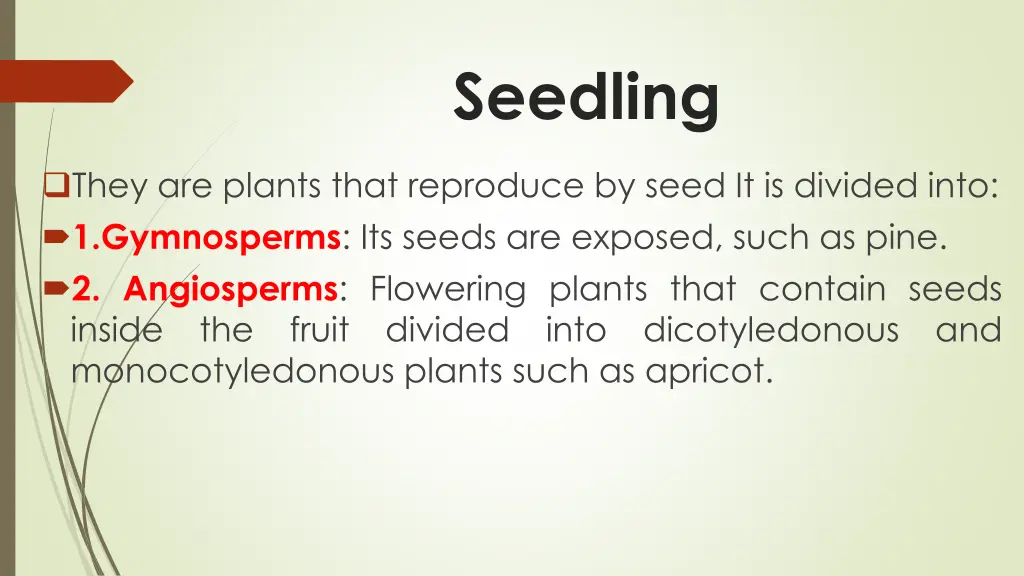 seedling 1